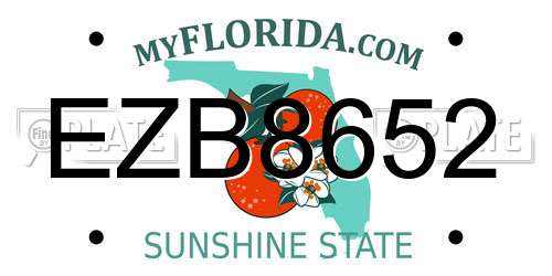 EZB8652 Florida License Plate