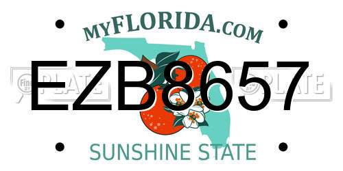EZB8657 Florida License Plate