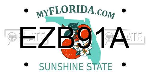 EZB91A Florida License Plate
