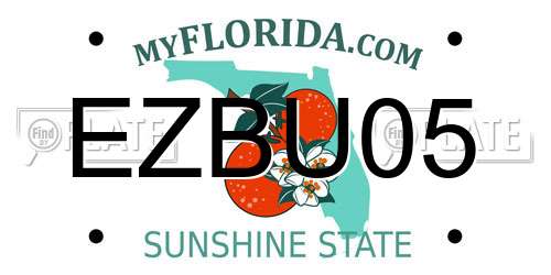 EZBU05 Florida License Plate