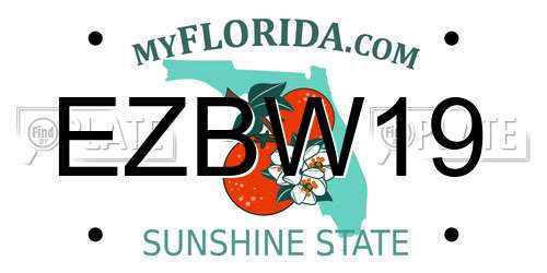 EZBW19 Florida License Plate
