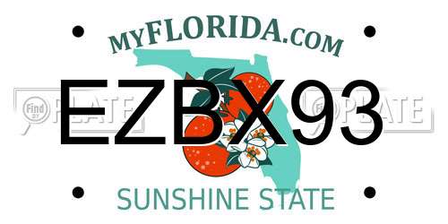 EZBX93 Florida License Plate