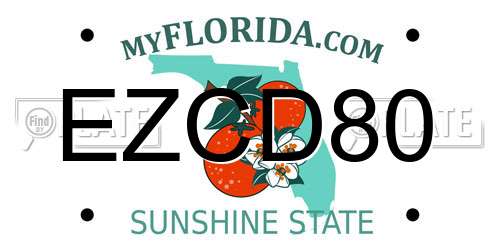 EZCD80 Florida License Plate