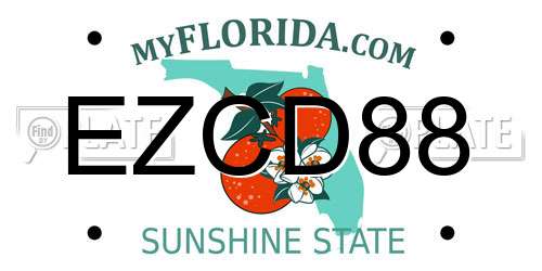 EZCD88 Florida License Plate