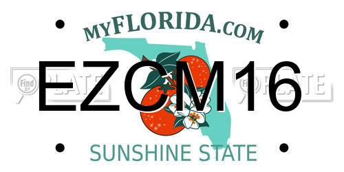 EZCM16 Florida License Plate