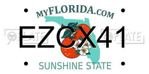EZCX41 Florida License Plate
