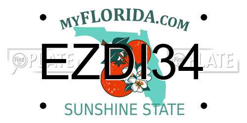 EZDI34 Florida License Plate