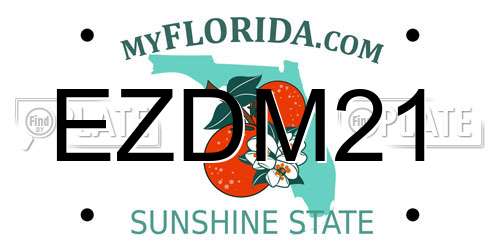 EZDM21 Florida License Plate
