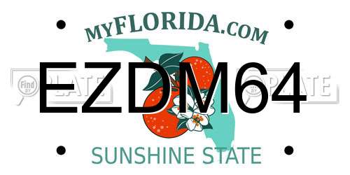 EZDM64 Florida License Plate