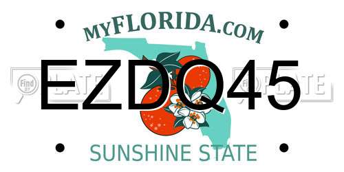 EZDQ45 Florida License Plate