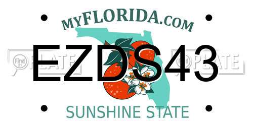 EZDS43 Florida License Plate
