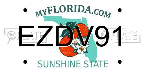 EZDV91 Florida License Plate