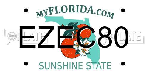 EZEC80 Florida License Plate