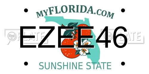 EZEE46 Florida License Plate