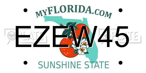 EZEW45 Florida License Plate