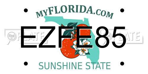 EZFE85 Florida License Plate