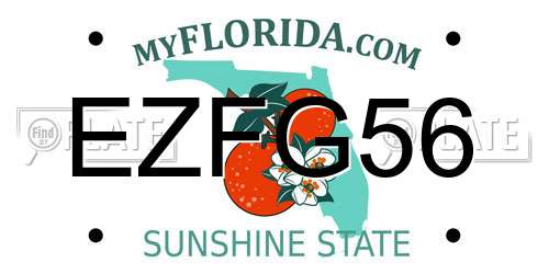 EZFG56 Florida License Plate