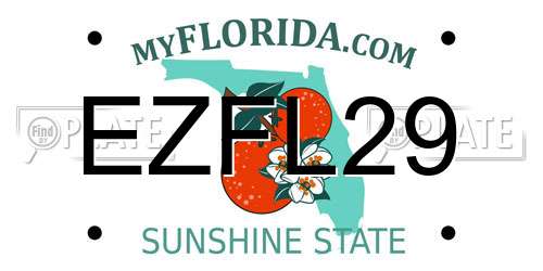 EZFL29 Florida License Plate