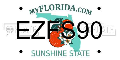 EZFS90 Florida License Plate