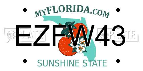 EZFW43 Florida License Plate