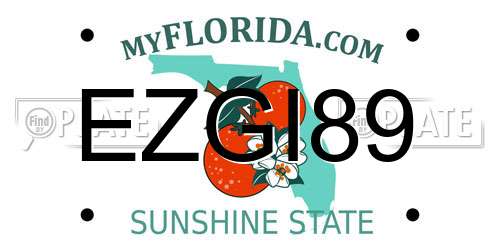 EZGI89 Florida License Plate