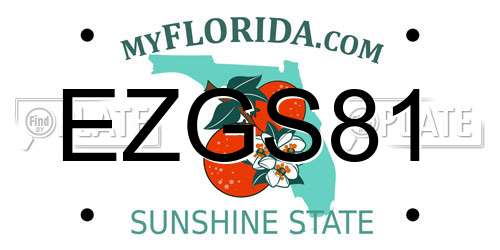EZGS81 Florida License Plate