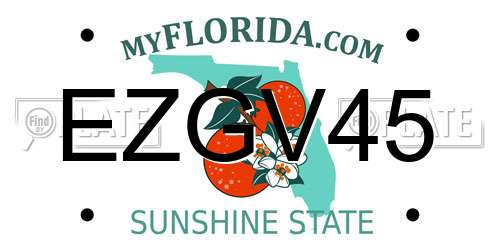 EZGV45 Florida License Plate