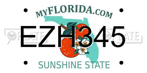 EZH345 Florida License Plate