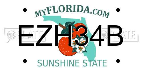 EZH34B Florida License Plate