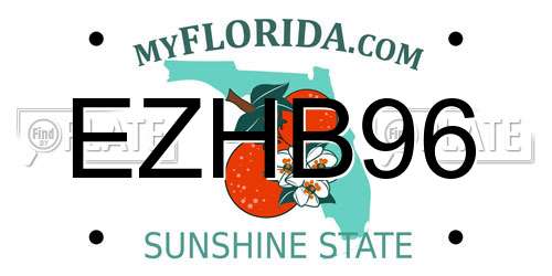 EZHB96 Florida License Plate