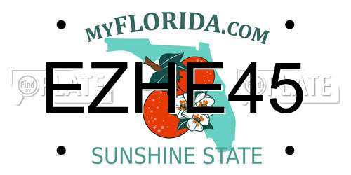 EZHE45 Florida License Plate