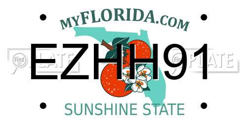 EZHH91 Florida License Plate