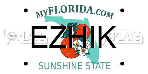 EZHIK Florida License Plate