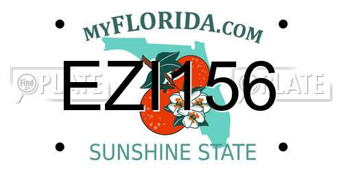 EZI156 Florida License Plate