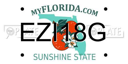 EZI18G Florida License Plate