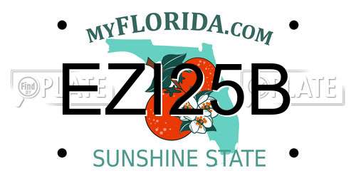 EZI25B Florida License Plate