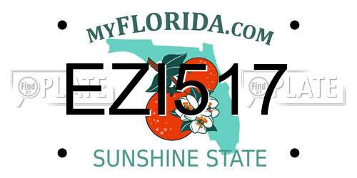 EZI517 Florida License Plate