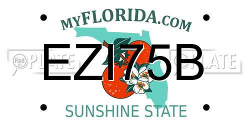EZI75B Florida License Plate