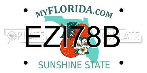 EZI78B Florida License Plate
