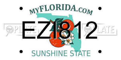 EZI812 Florida License Plate