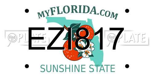 EZI817 Florida License Plate