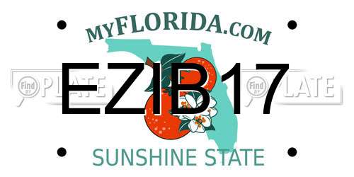 EZIB17 Florida License Plate