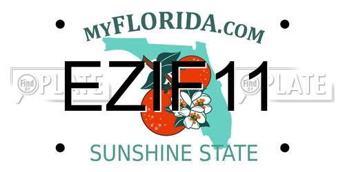 EZIF11 Florida License Plate