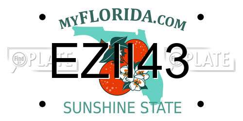 EZII43 Florida License Plate