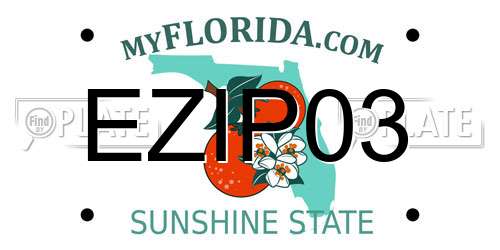 EZIP03 Florida License Plate