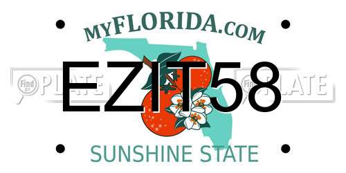 EZIT58 Florida License Plate