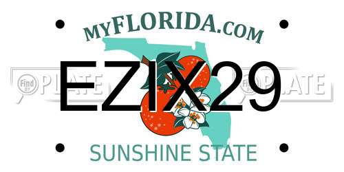 EZIX29 Florida License Plate