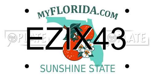 EZIX43 Florida License Plate