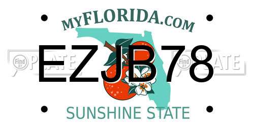 EZJB78 Florida License Plate