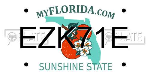 EZK71E Florida License Plate